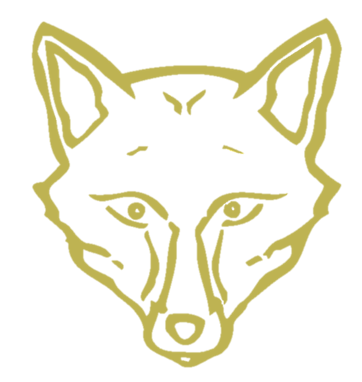 city foxes